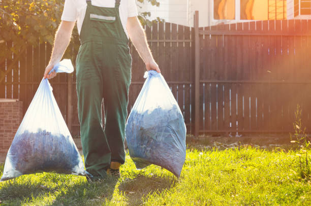 Debris Removal in Boone, NC